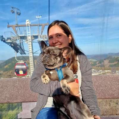 Hundetreffen-Spielpartner gesucht!