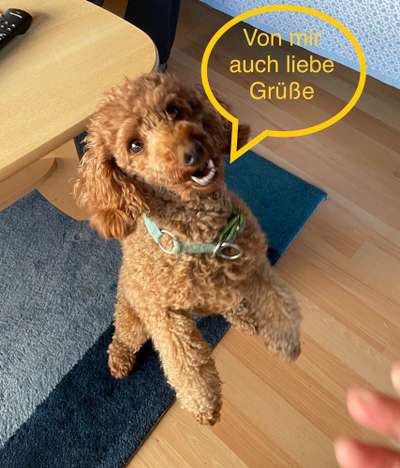 Handy-Foto Challange Nr. 10-Beitrag-Bild