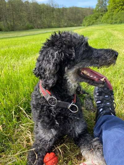 Fotowettbewerb Natur-Beitrag-Bild