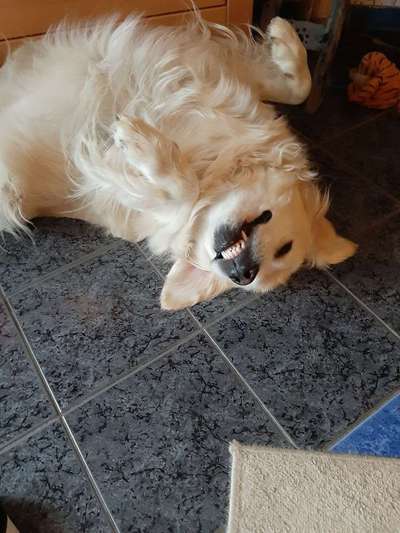 Die unbequemsten und lustigsten Schlafpositionen-Beitrag-Bild