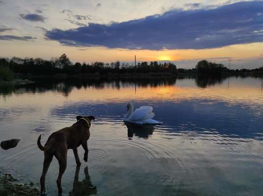 Sonnenaufgänge oder - untergänge-Beitrag-Bild