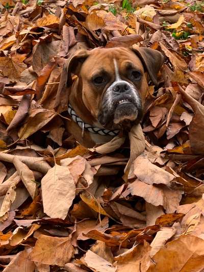 Ton in Ton-Beitrag-Bild