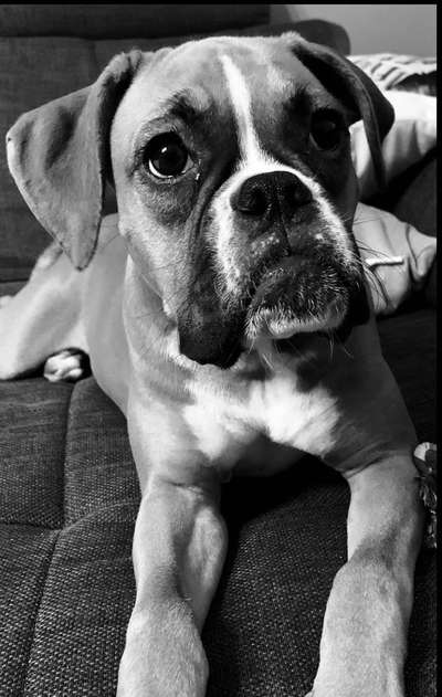 3. Farben/Fotochallenge: Schwarz/Weiß-Beitrag-Bild