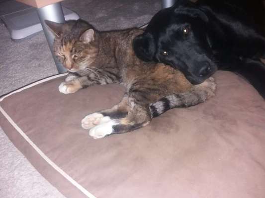 CHALLENGE Nr.17-Beitrag-Bild