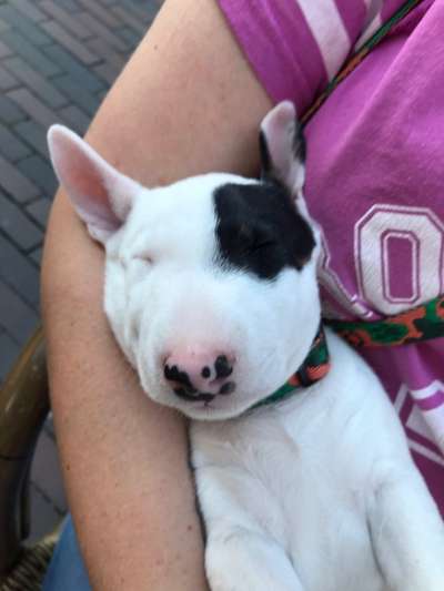 Foto Challenge 3-Beitrag-Bild