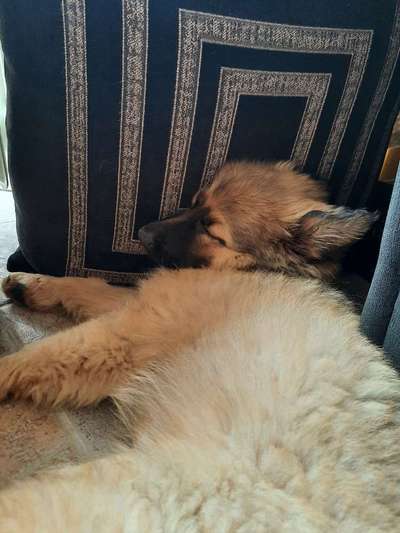 Die unbequemsten und lustigsten Schlafpositionen-Beitrag-Bild