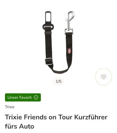 Transport auf der Rückbank-Beitrag-Bild