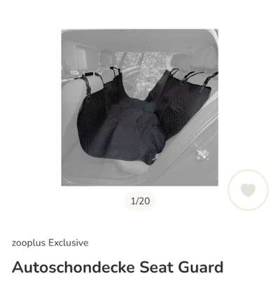 Transport auf der Rückbank-Beitrag-Bild