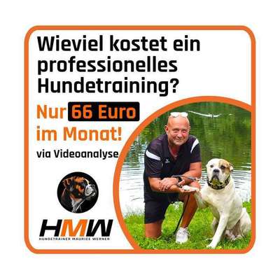 Hundeschulen-Hundetrainer Maurice Werner-Bild