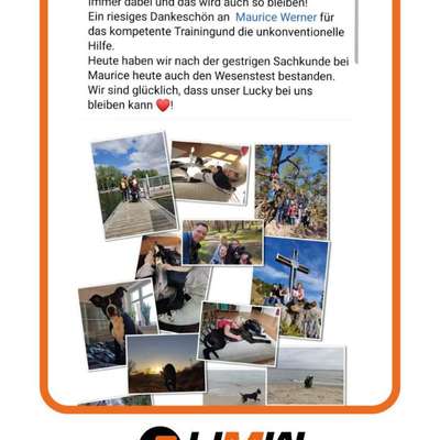 Giftköder-Hundetrainer-Bild