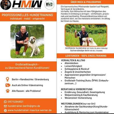 Hundeschulen-Hundetrainer Maurice Werner-Bild