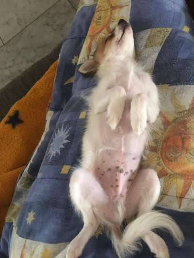 Die unbequemsten und lustigsten Schlafpositionen-Beitrag-Bild