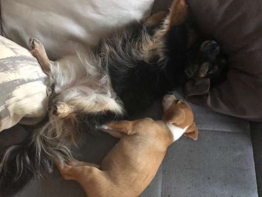 Die unbequemsten und lustigsten Schlafpositionen-Beitrag-Bild