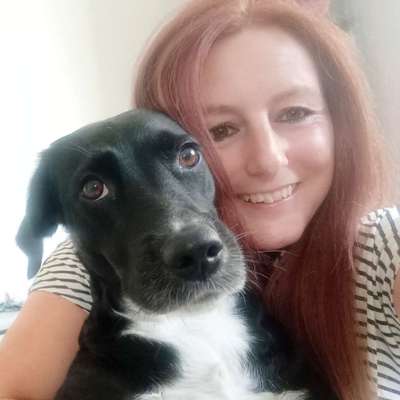 Hundetreffen-Melsungen