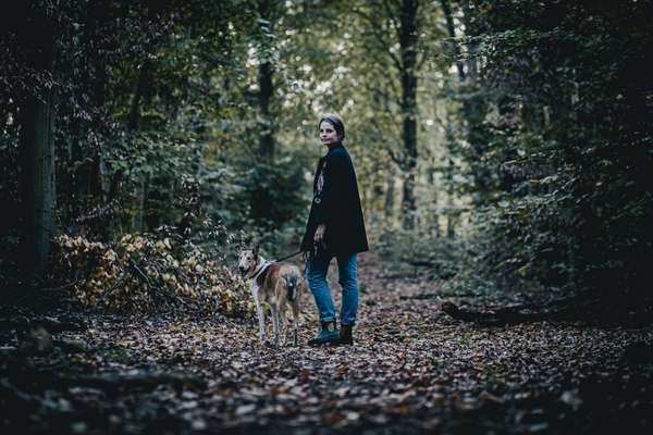 Hundetreffen-Sozialkontakt und Gassirunde-Bild