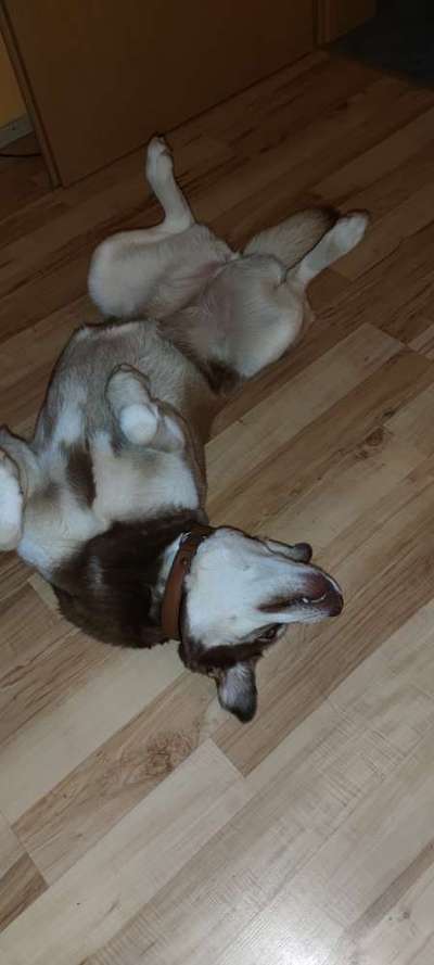 Fotochallenge Nr.65-Beitrag-Bild