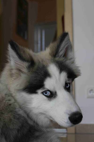 Lieblingsbild :D-Beitrag-Bild