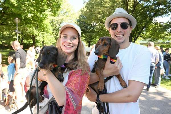 Große Dackel-Parade in Regensburg geplant - Was denkt ihr?-Beitrag-Bild