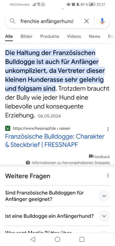 Listenhunde-Beitrag-Bild