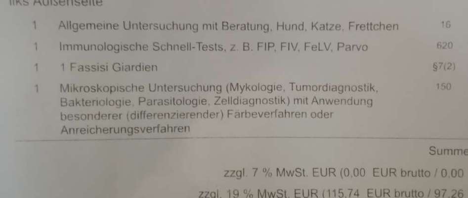 Wird zu selten entwurmt? Wurmbefall bei Hunden in Deutschland-Beitrag-Bild