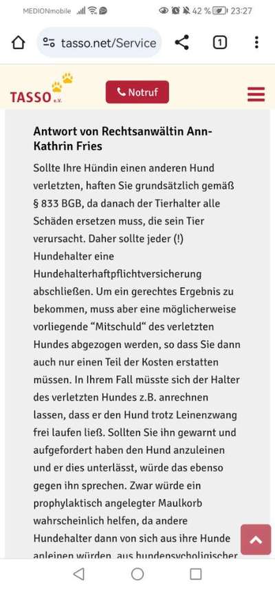 Hundeangriff, groß gegen klein-Beitrag-Bild