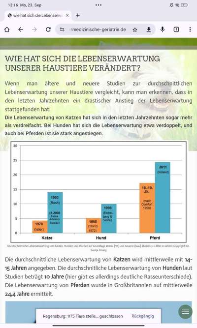 Trockenfutter ist nicht Artgerecht-Beitrag-Bild