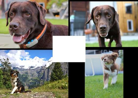 Austausch zur Fotografie-Beitrag-Bild