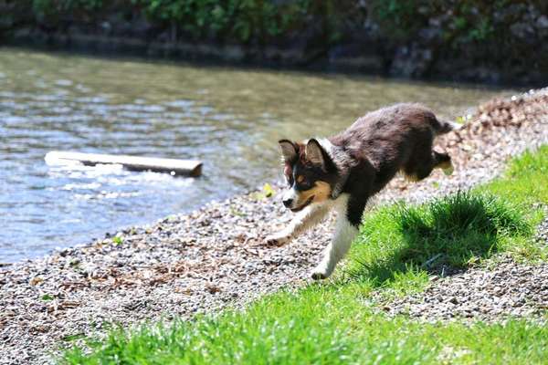 Austausch zur Fotografie-Beitrag-Bild
