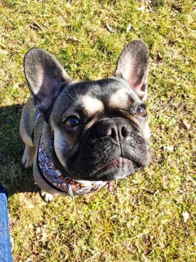 Fotochallange Nr. 57     PORTRÄT.   Beendet!!!!!!!!-Beitrag-Bild