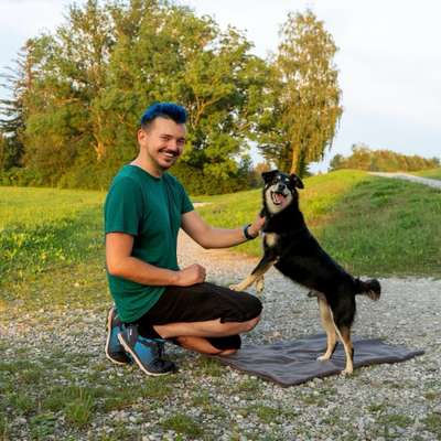 Giftköder-Social Walk-Bild