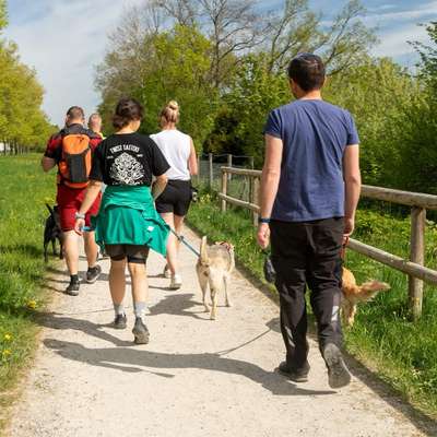 Giftköder-Social Walk-Bild