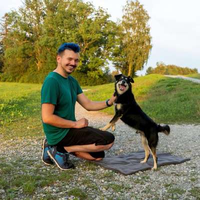 Giftköder-Gassi-Service-Bild