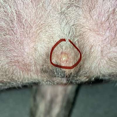 Was kann das sein?-Beitrag-Bild