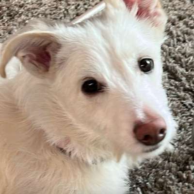 Marlies's Profilbild