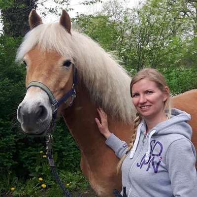 Hundetreffen-Training: Leinenführigkeit und Impulskontrolle-Profilbild