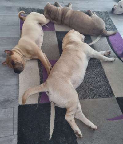 FOTO-Challenge  NR. 91: Die pure Entspannung-Beitrag-Bild