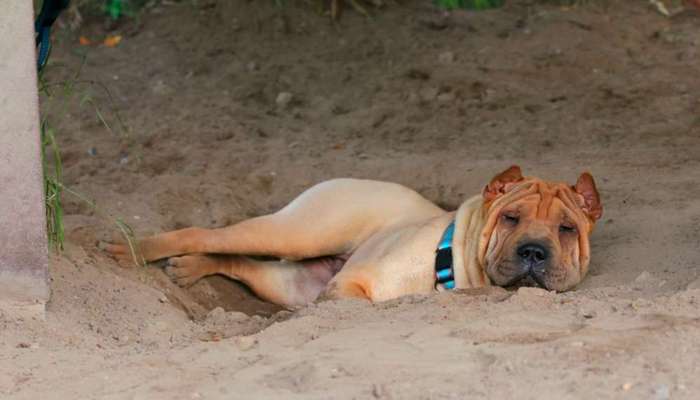 Fotochallenge Nr.100 Urlaubsimpressionen-Beitrag-Bild