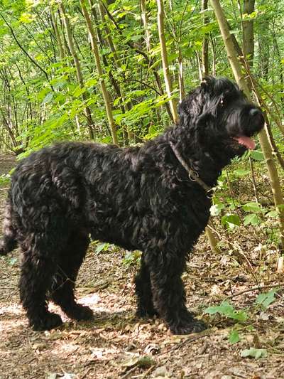 Welche Sätze hört ihr oft?-Beitrag-Bild