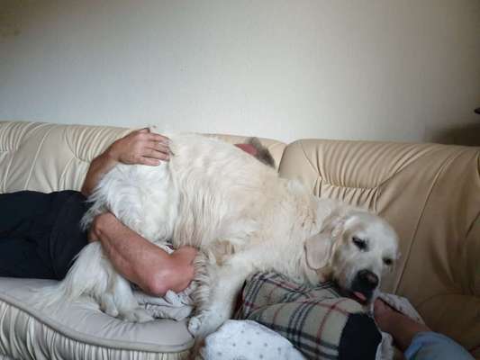 Die lustigsten Selfies mit Deinem Hund !-Beitrag-Bild