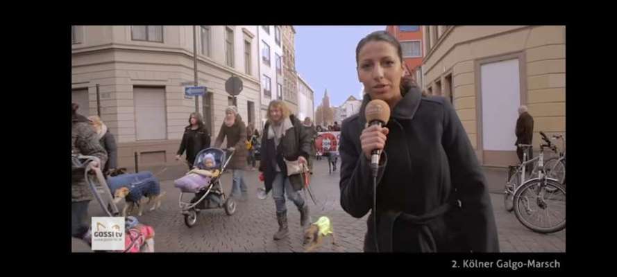 Windhunde - Treffen der besonderen Schönheiten
HERZLICH WILLKOMMEN-Beitrag-Bild