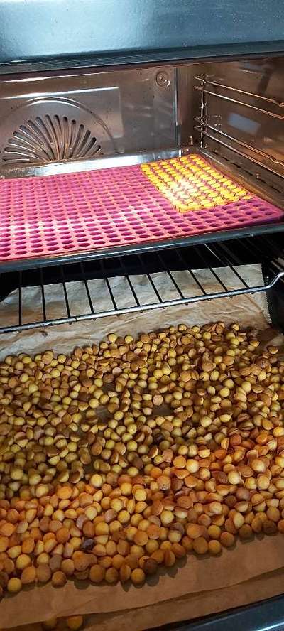 Windhunde - Treffen der besonderen Schönheiten
HERZLICH WILLKOMMEN-Beitrag-Bild