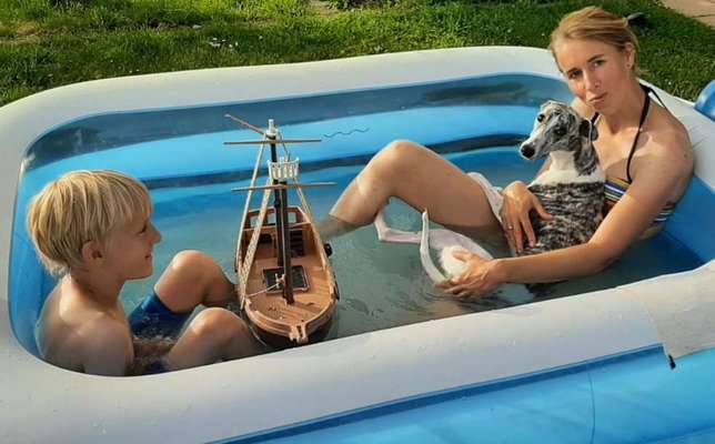 Windhunde - Treffen der besonderen Schönheiten
HERZLICH WILLKOMMEN-Beitrag-Bild