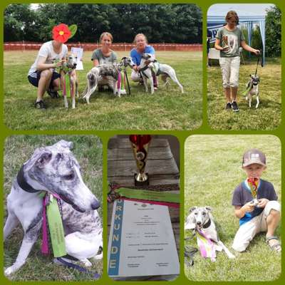 Windhunde - Treffen der besonderen Schönheiten
HERZLICH WILLKOMMEN-Beitrag-Bild