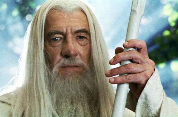 Wie heißt dein Hund?-Beitrag-Bild