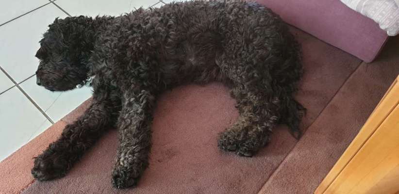 Klischeedenken einiger Menschen-Beitrag-Bild