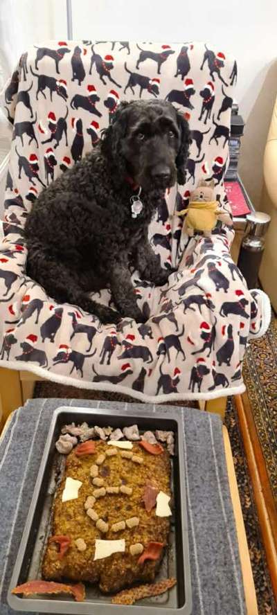 Die Dogorama Kalender Challenge 4/4-Beitrag-Bild