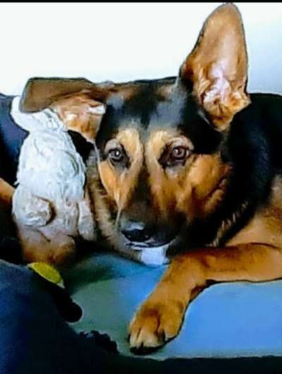 Fotochallange Nr. 57     PORTRÄT.   Beendet!!!!!!!!-Beitrag-Bild