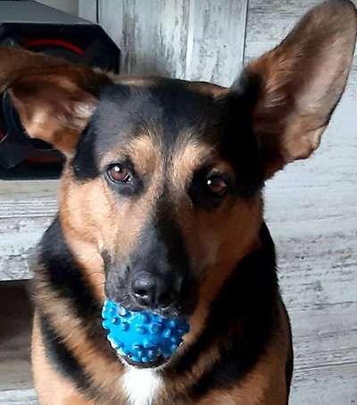 Fotochallange Nr. 57     PORTRÄT.   Beendet!!!!!!!!-Beitrag-Bild