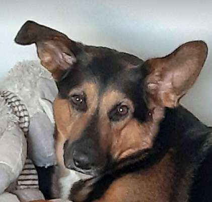 Fotochallange Nr. 57     PORTRÄT.   Beendet!!!!!!!!-Beitrag-Bild