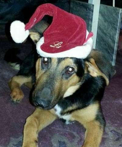 Fotochallange Nr. 57     PORTRÄT.   Beendet!!!!!!!!-Beitrag-Bild